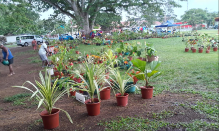 Port Vila Mamas’ flower sale starts today to aid families