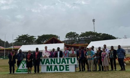 Koanapo: 3.8% Manufacturing Share Too Small, Target 10% of GDP